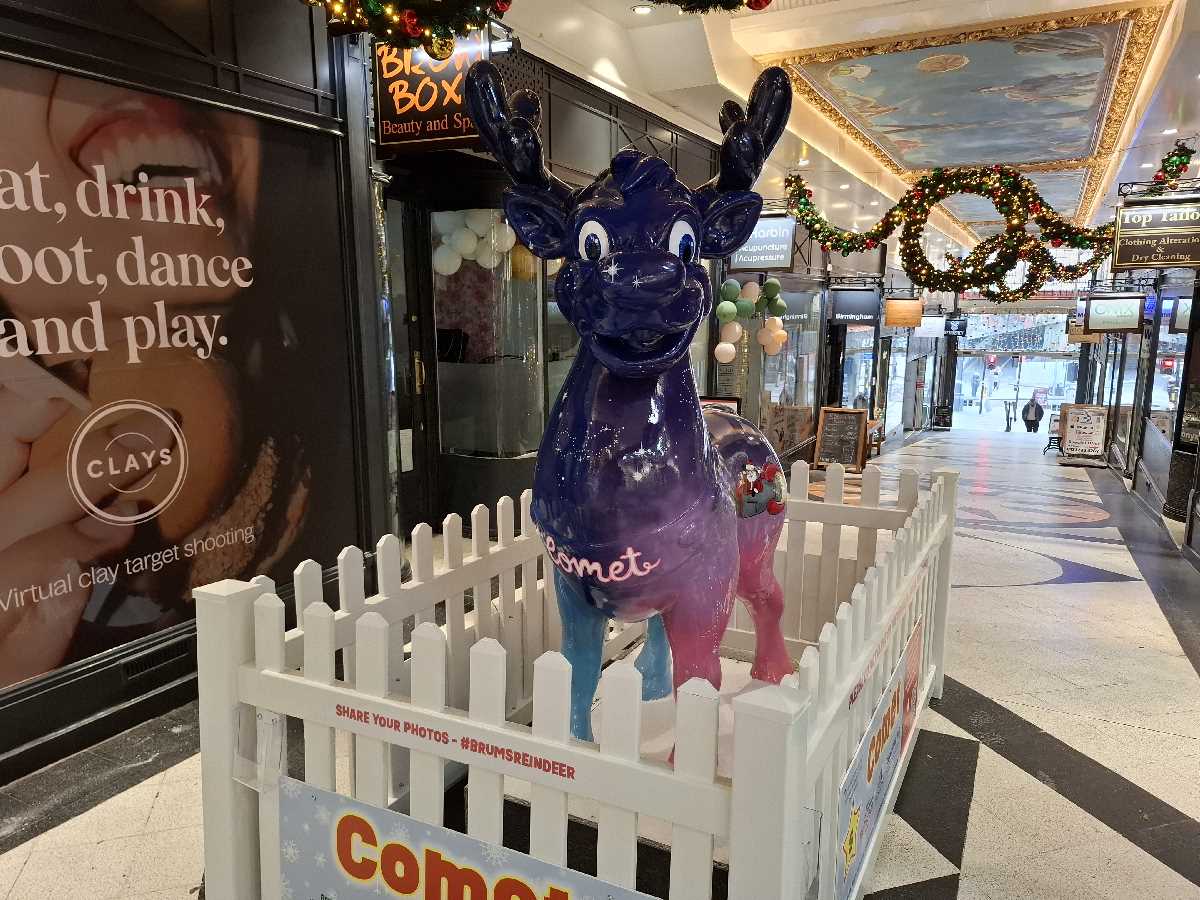 Brum's Reindeer