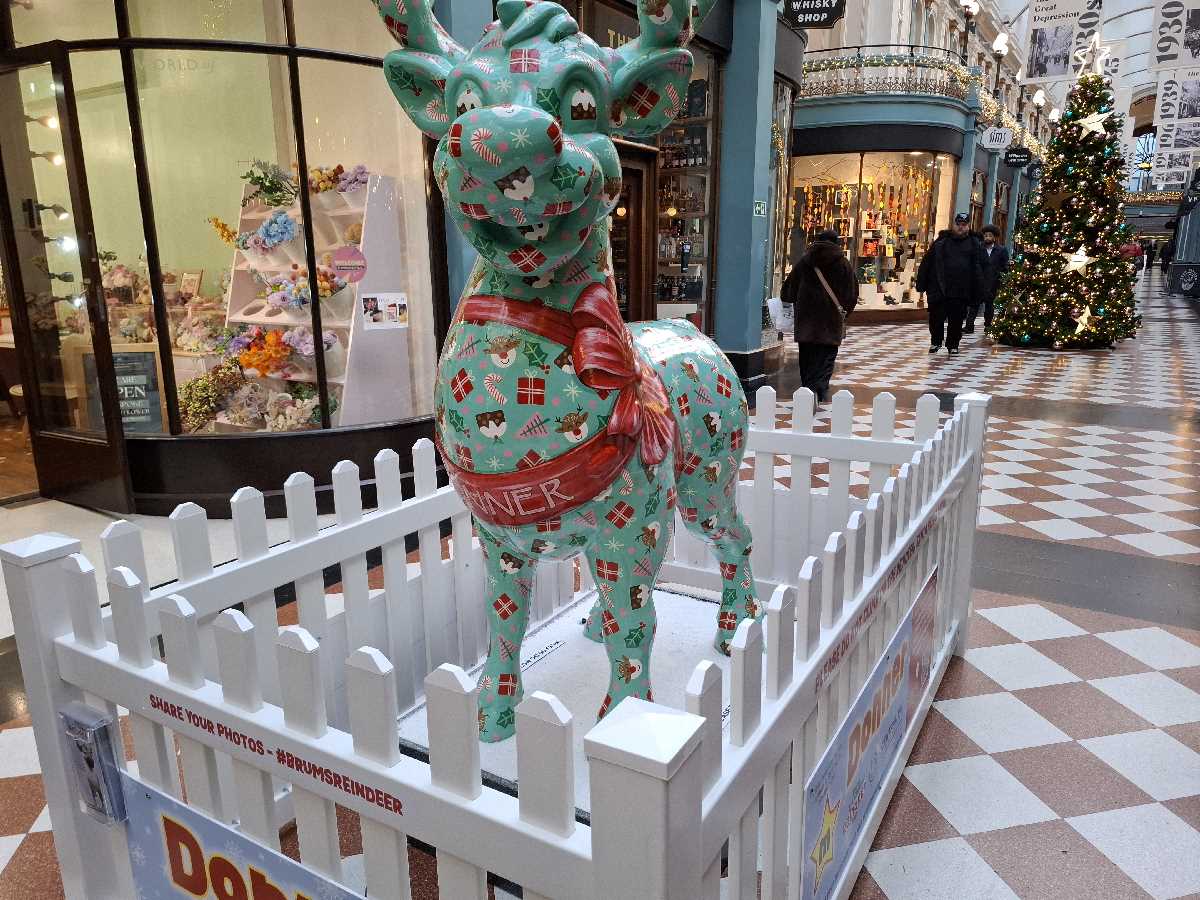 Brum's Reindeer