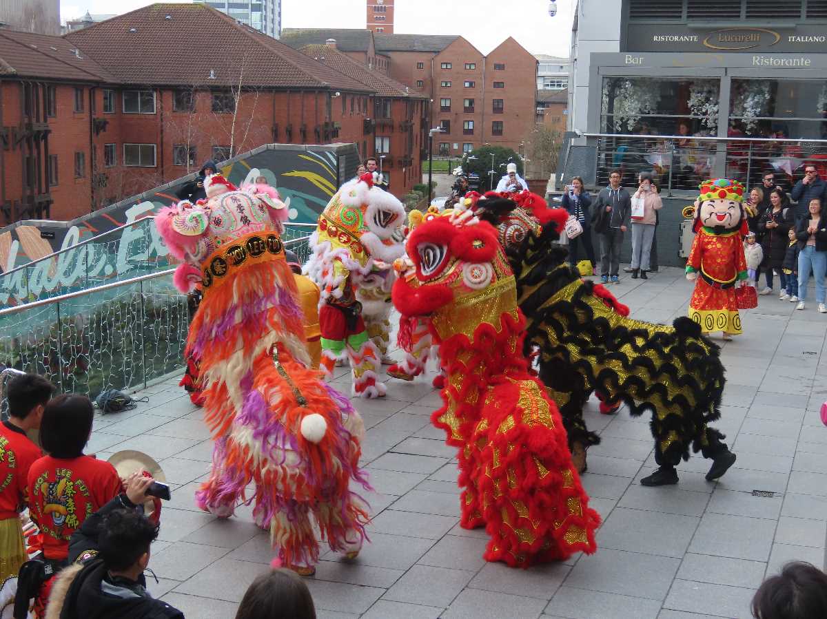 Chinese lion dragon