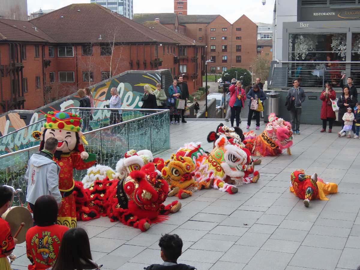 Chinese lion dragon