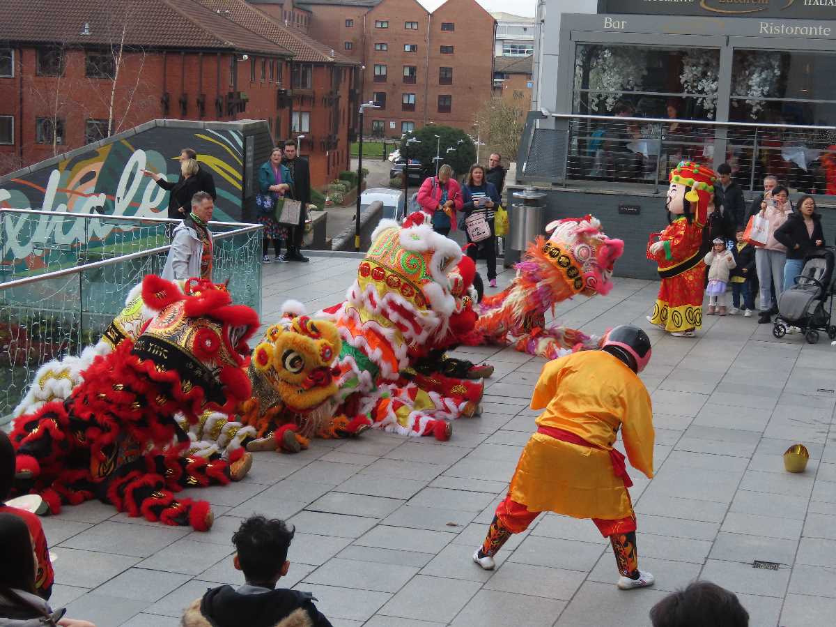 Chinese lion dragon