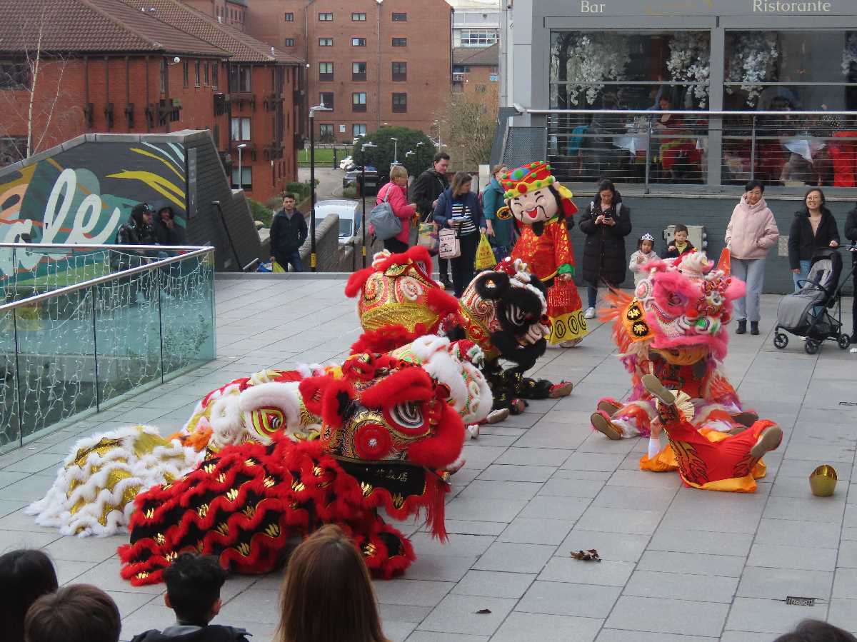 Chinese lion dragon