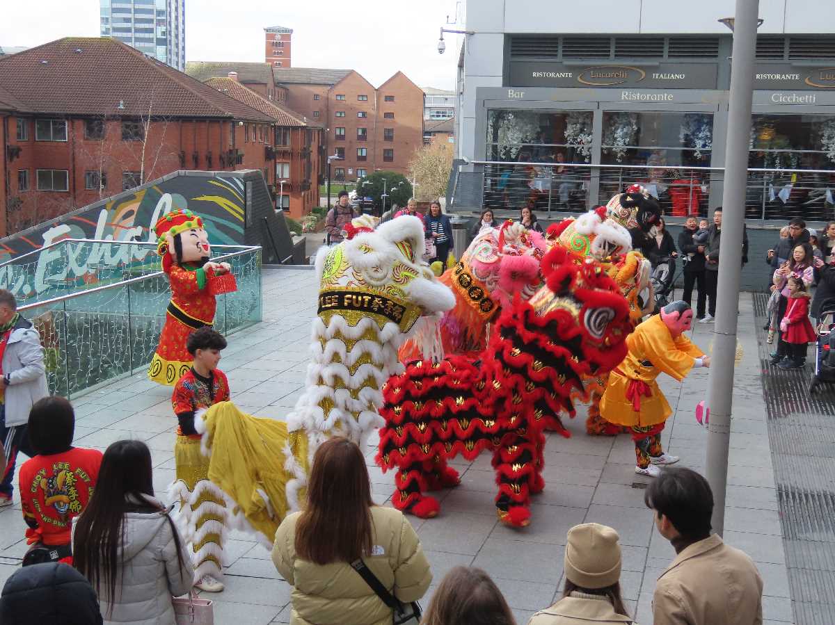 Chinese lion dragon